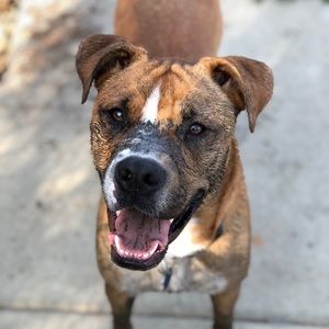 Meet your Posher, Gina